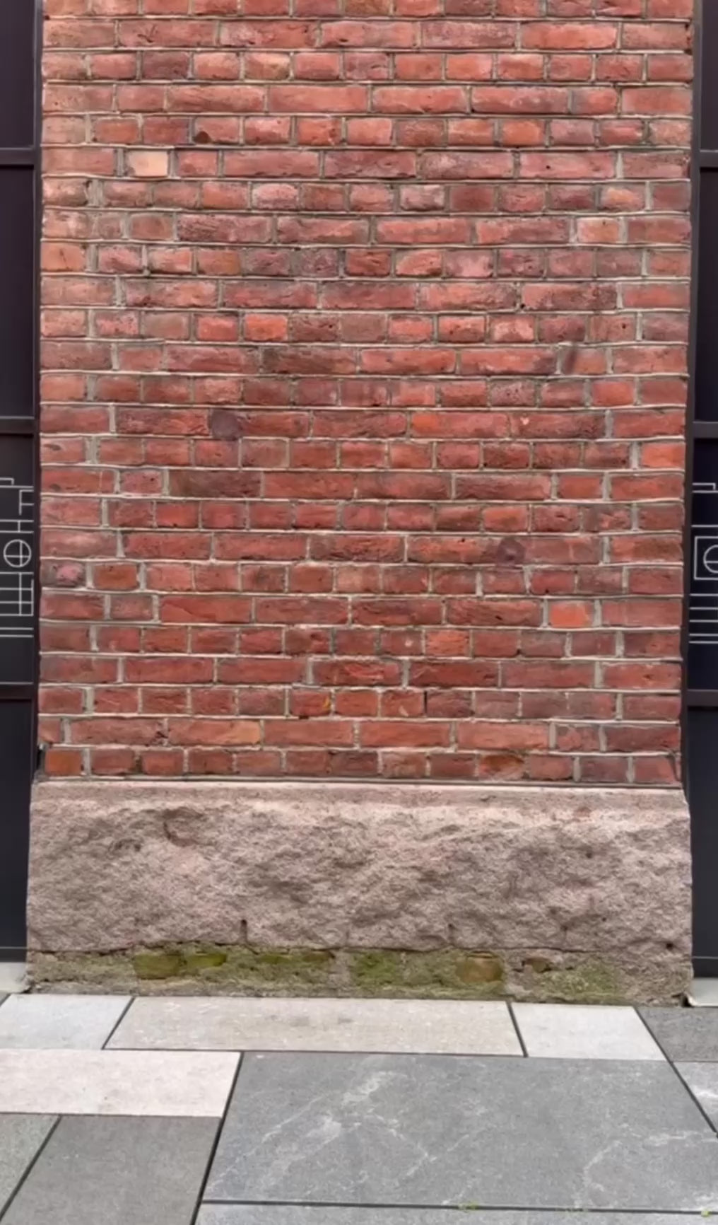 Valentino Calf Hair Knee-High Boots