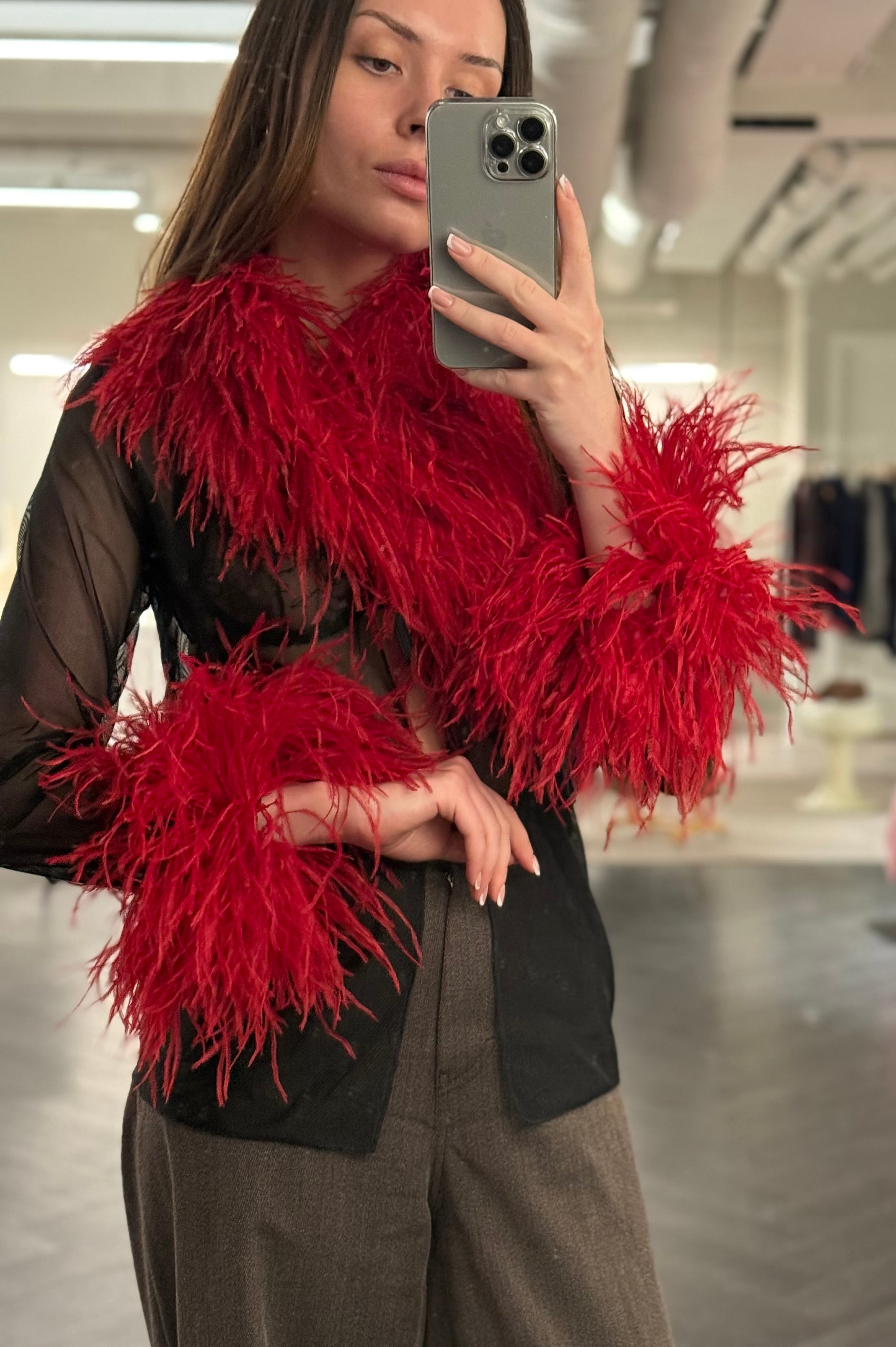 Sheer Feather-Trim Blouse