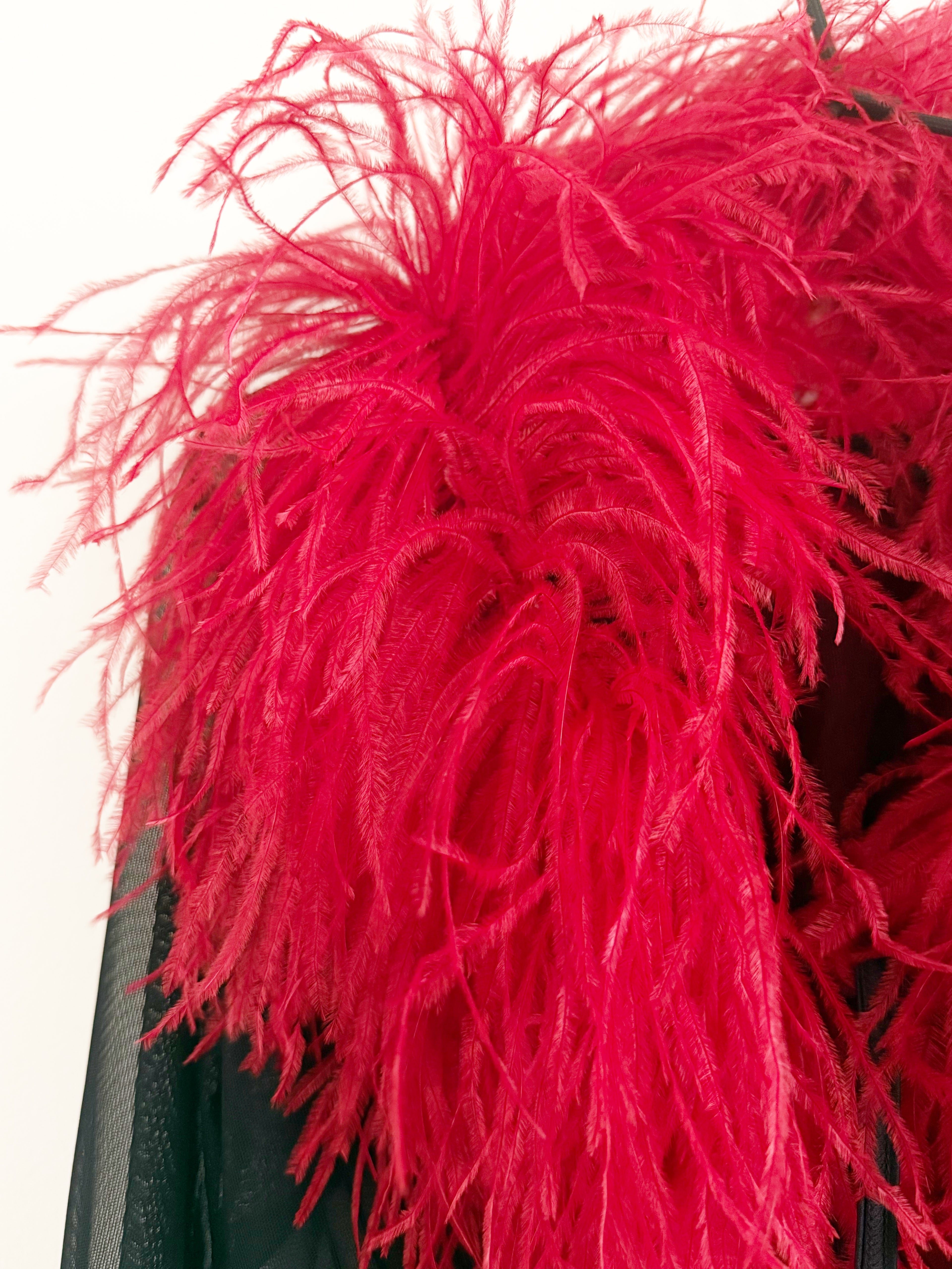 Sheer Feather-Trim Blouse