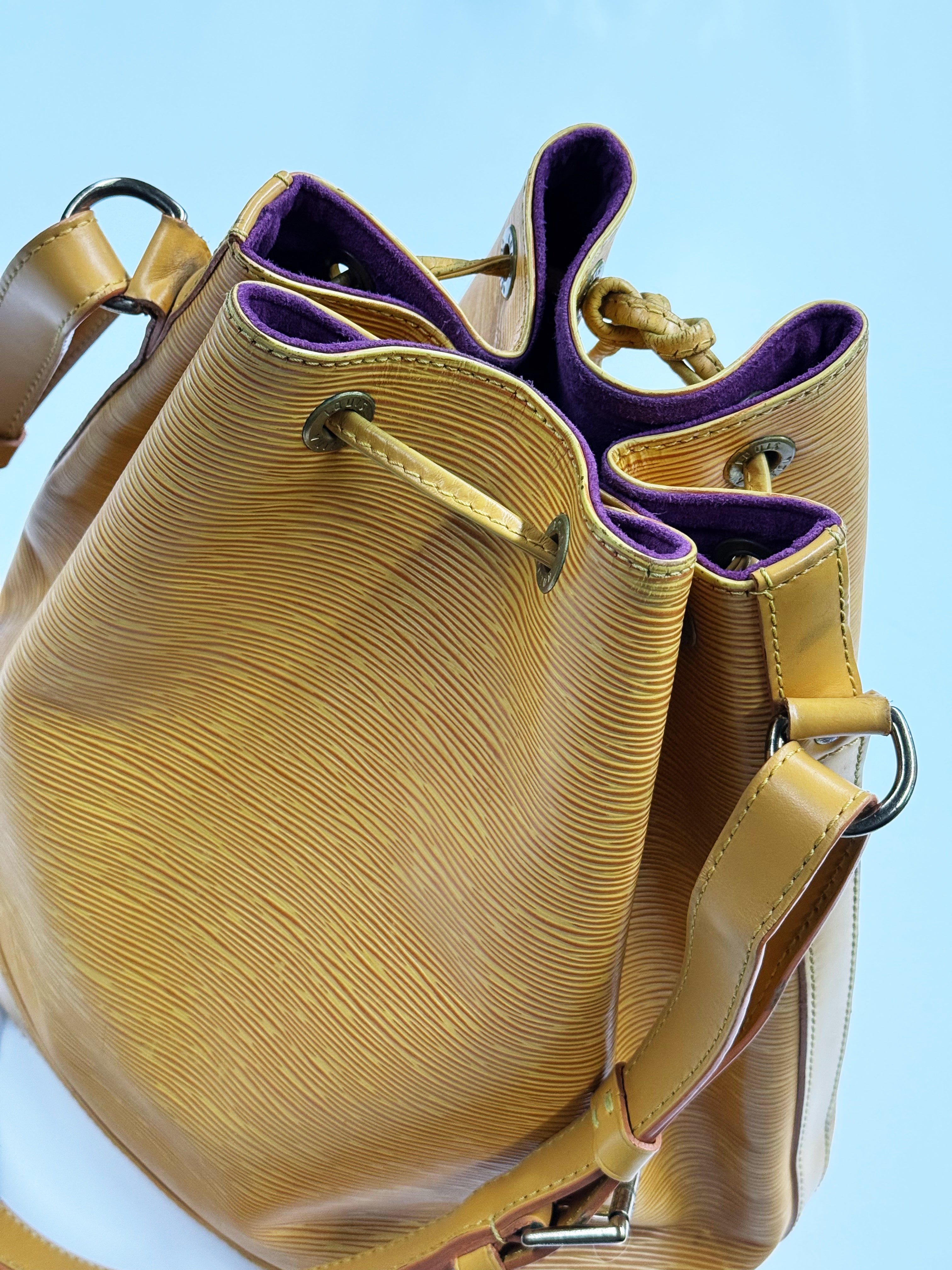 Louis Vuitton Noé Epi Leather Bucket Bag