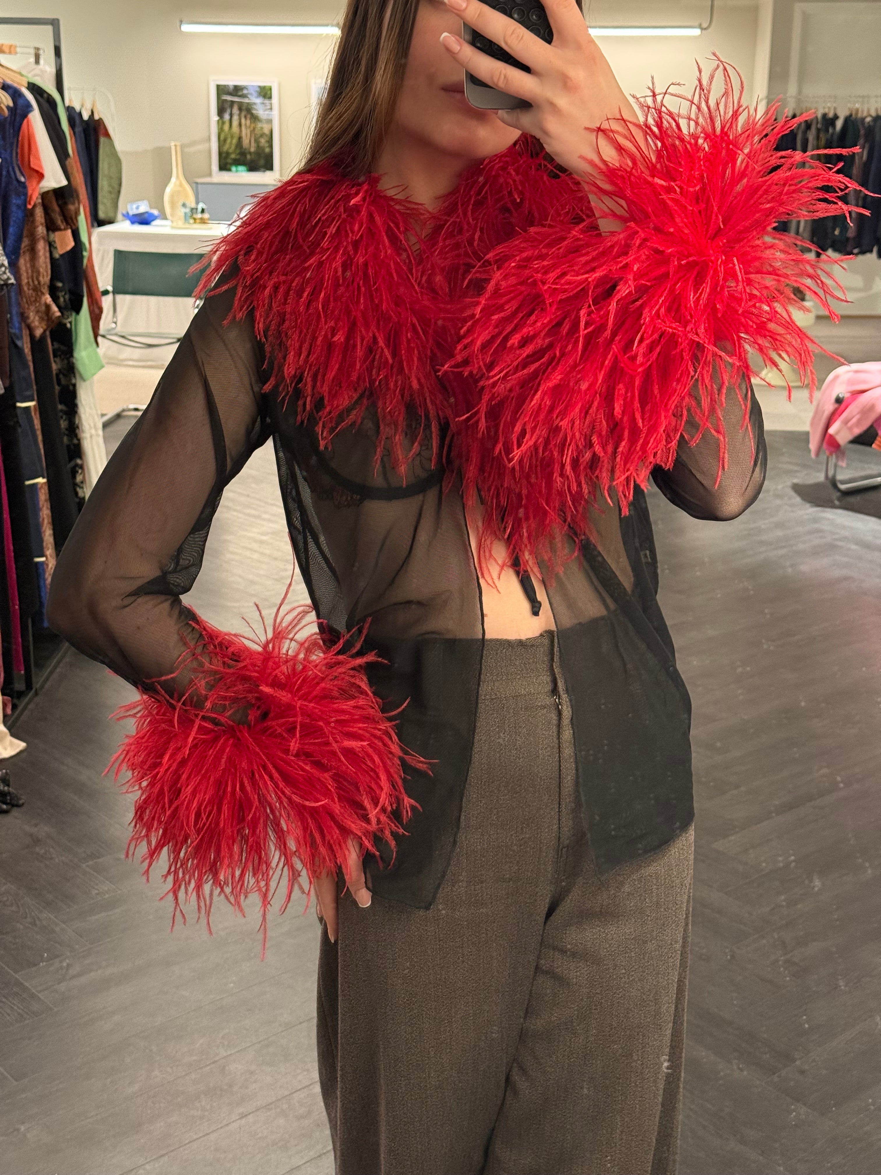 Sheer Feather-Trim Blouse