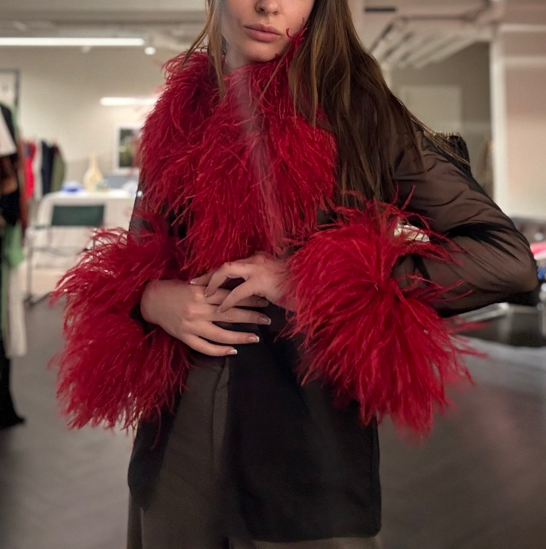Sheer Feather-Trim Blouse