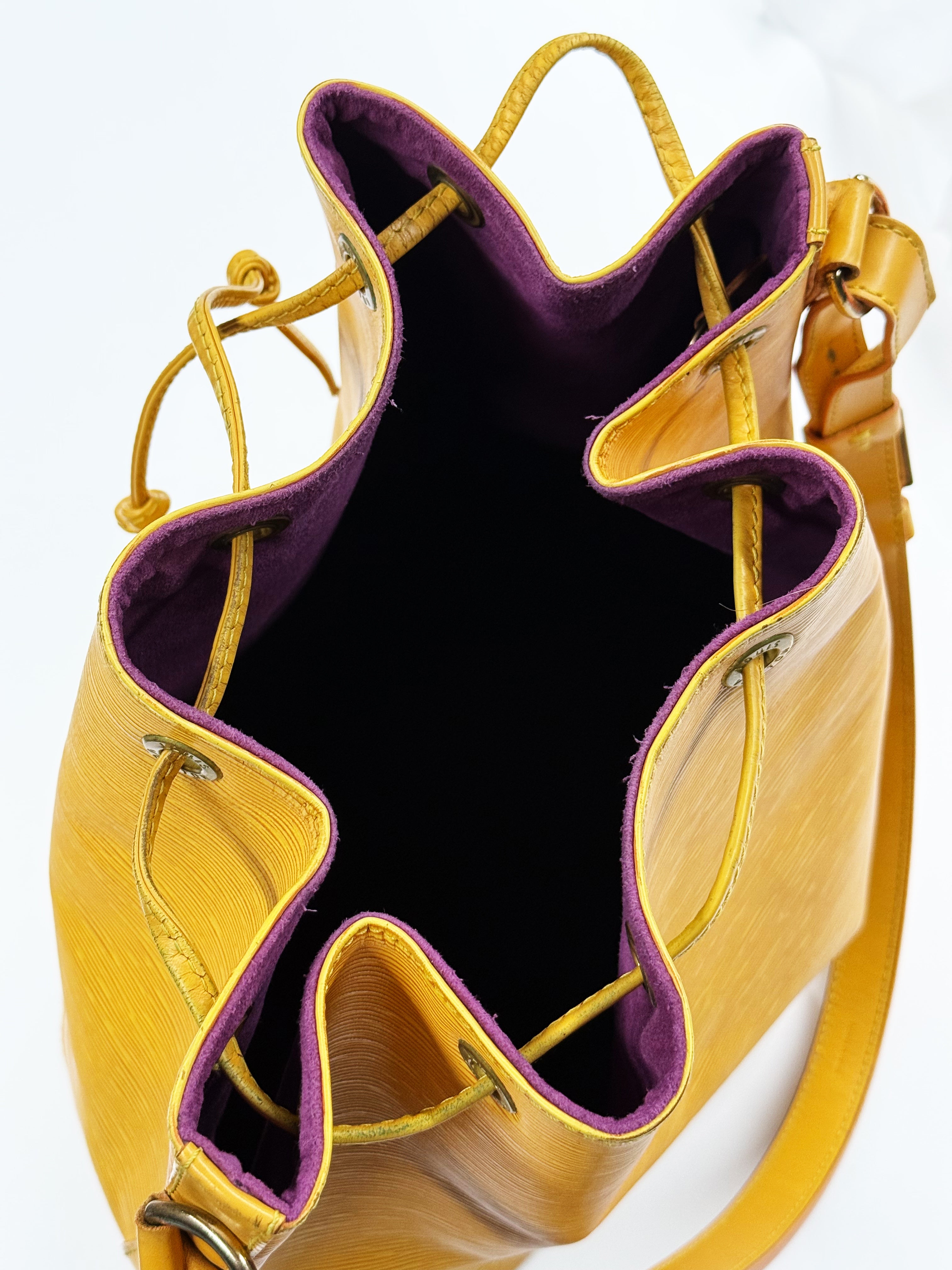 Louis Vuitton Noé Epi Leather Bucket Bag