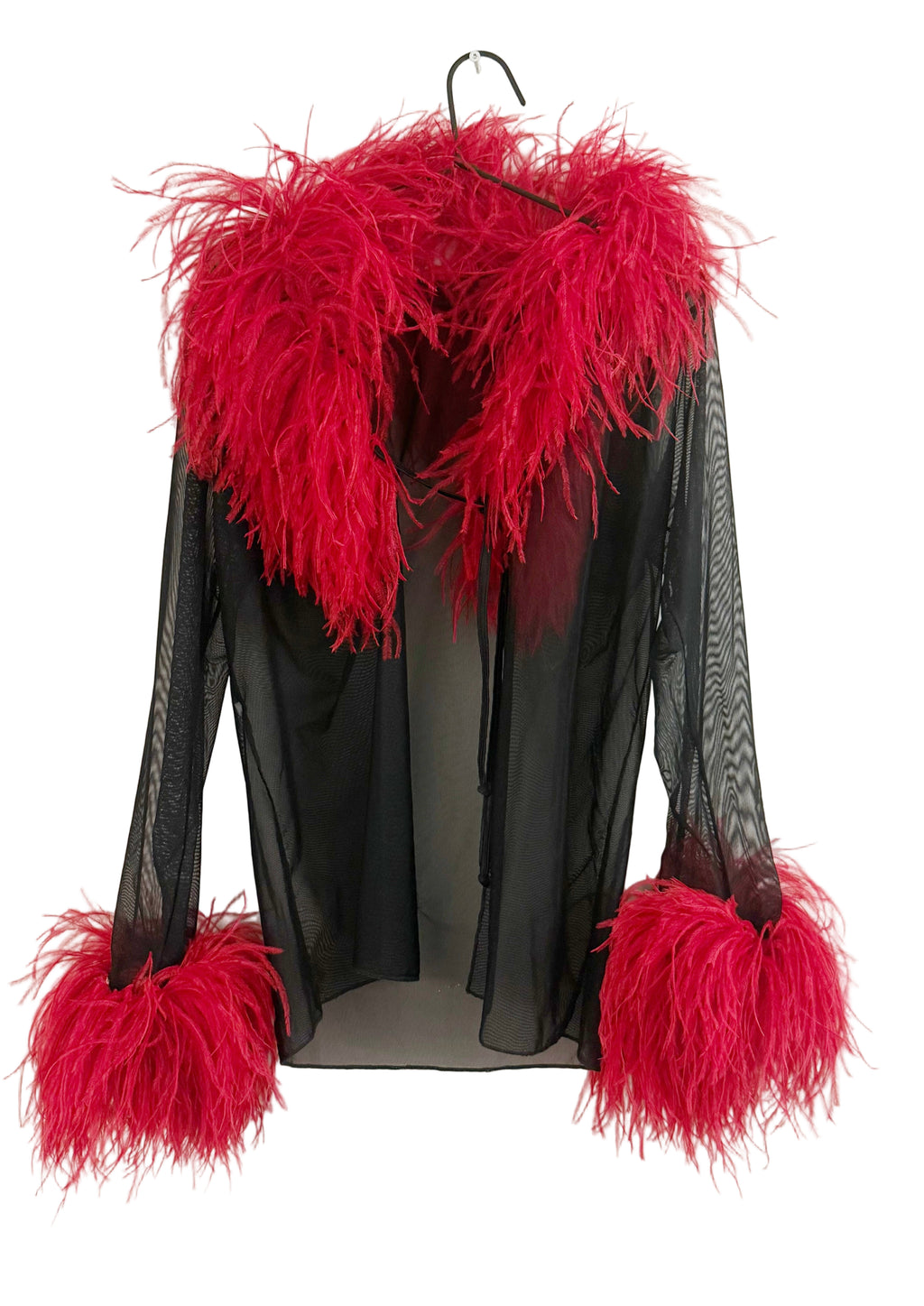 Sheer Feather-Trim Blouse