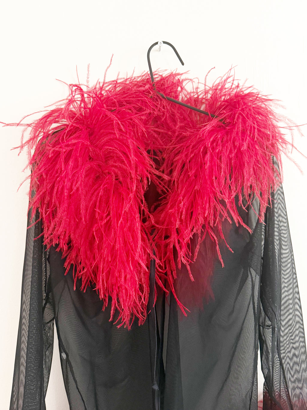 Sheer Feather-Trim Blouse