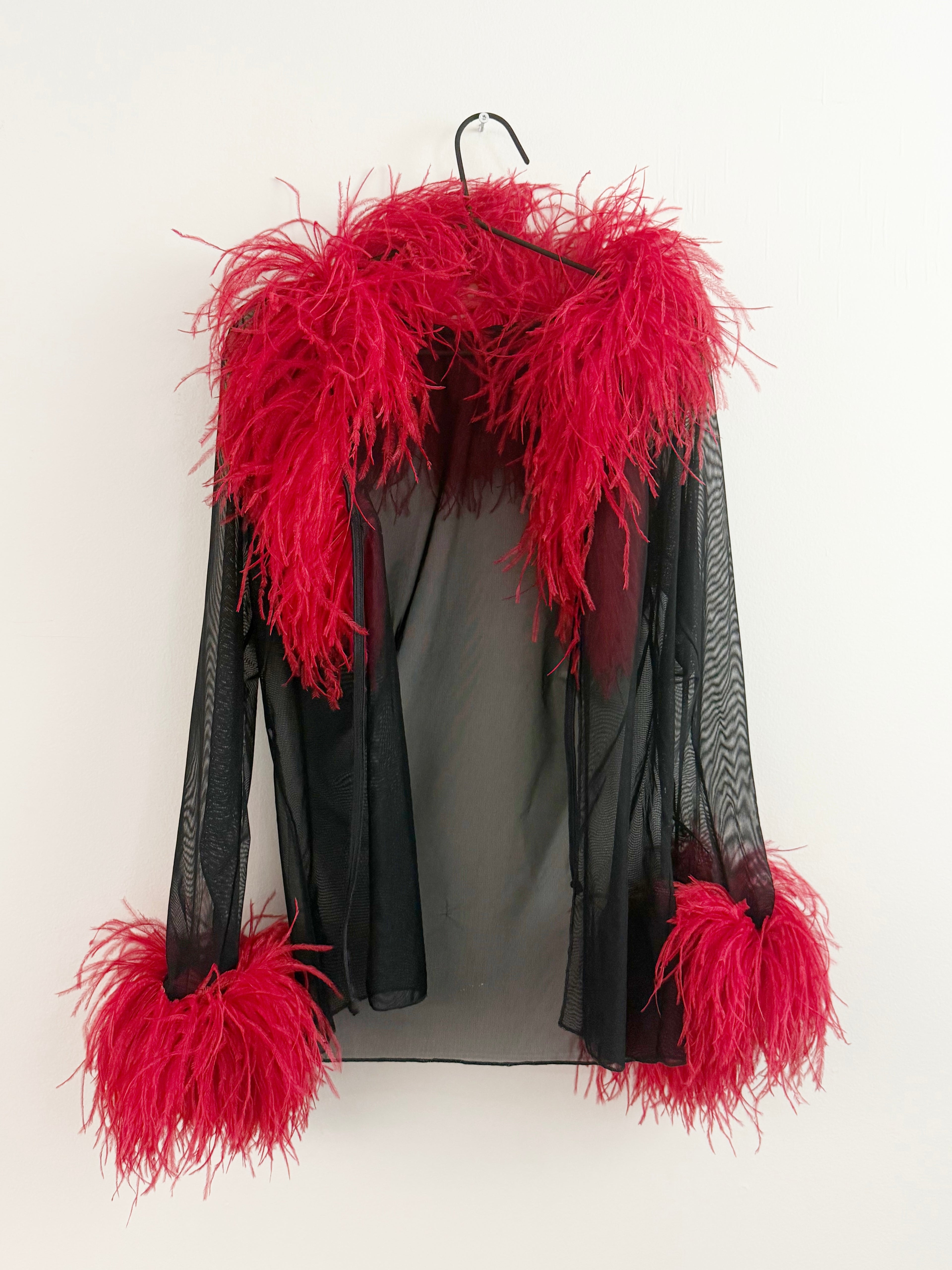 Sheer Feather-Trim Blouse