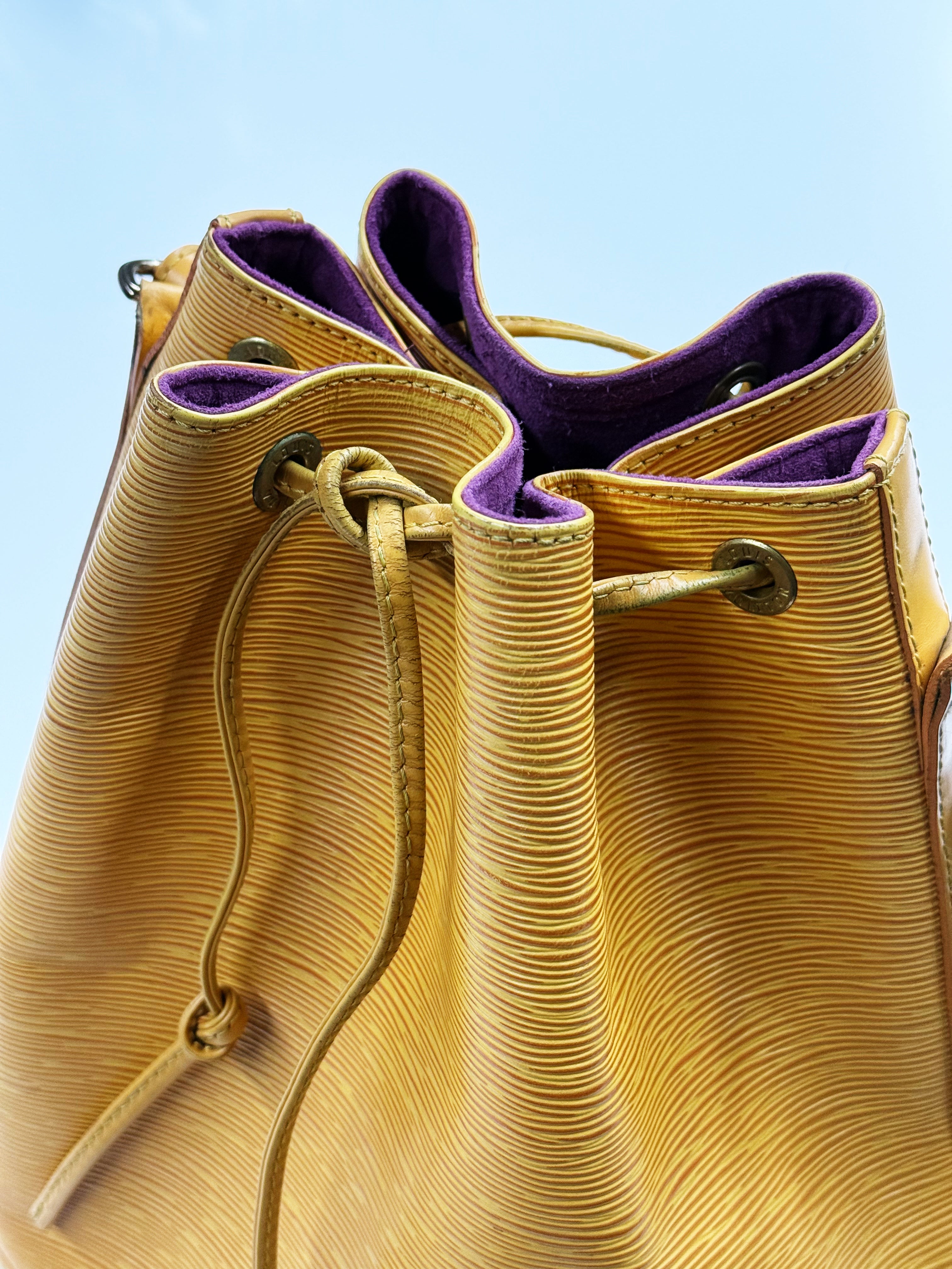 Louis Vuitton Noé Epi Leather Bucket Bag