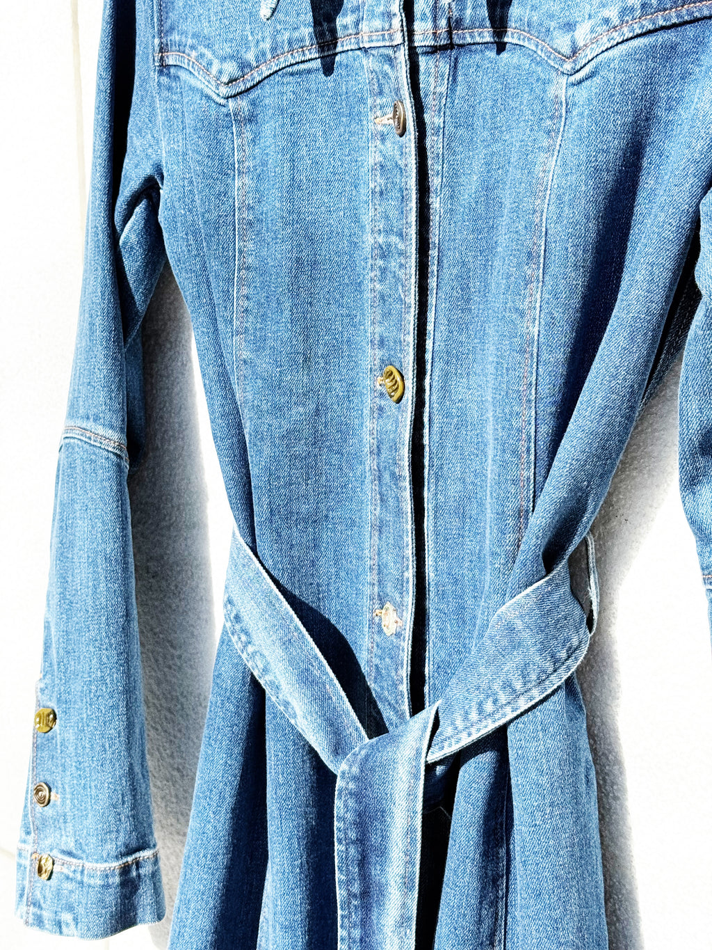 Rejina Pyo Denim Belted Dress