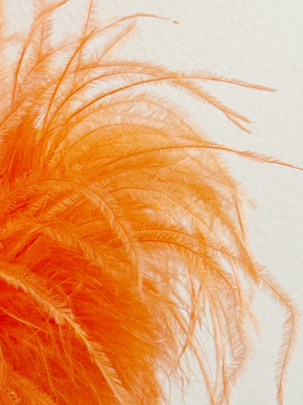 Alberto Audenino Orange Feather-Trim Blazer Dress