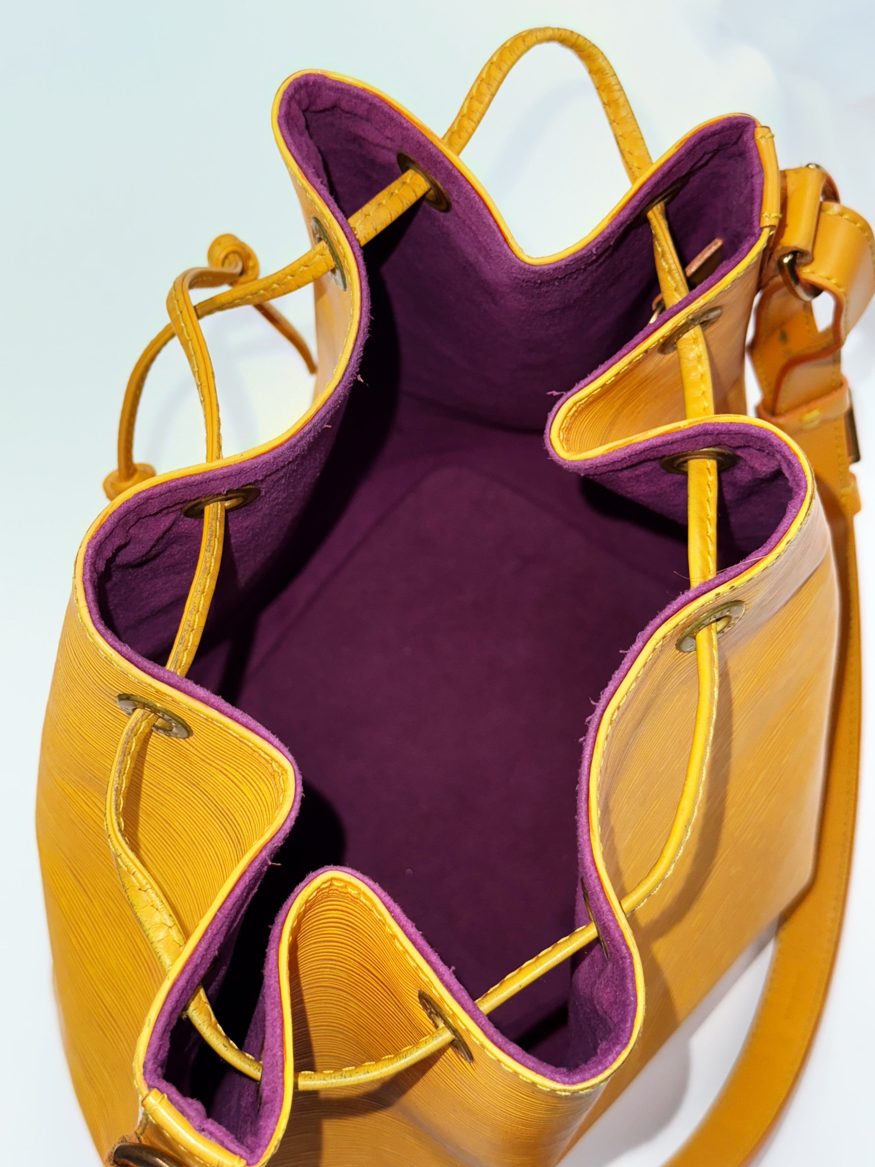 Louis Vuitton Noé Epi Leather Bucket Bag