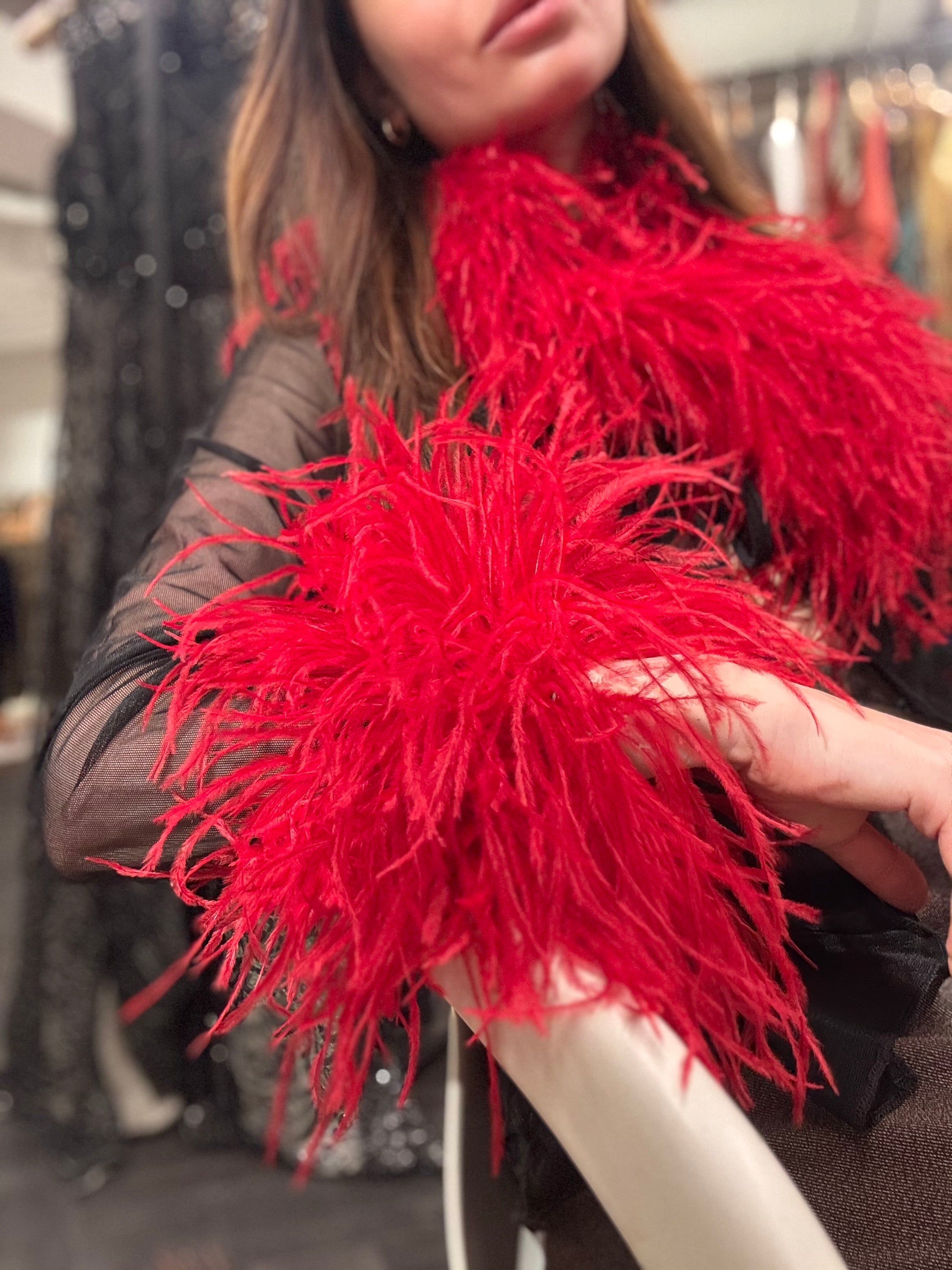 Sheer Feather-Trim Blouse