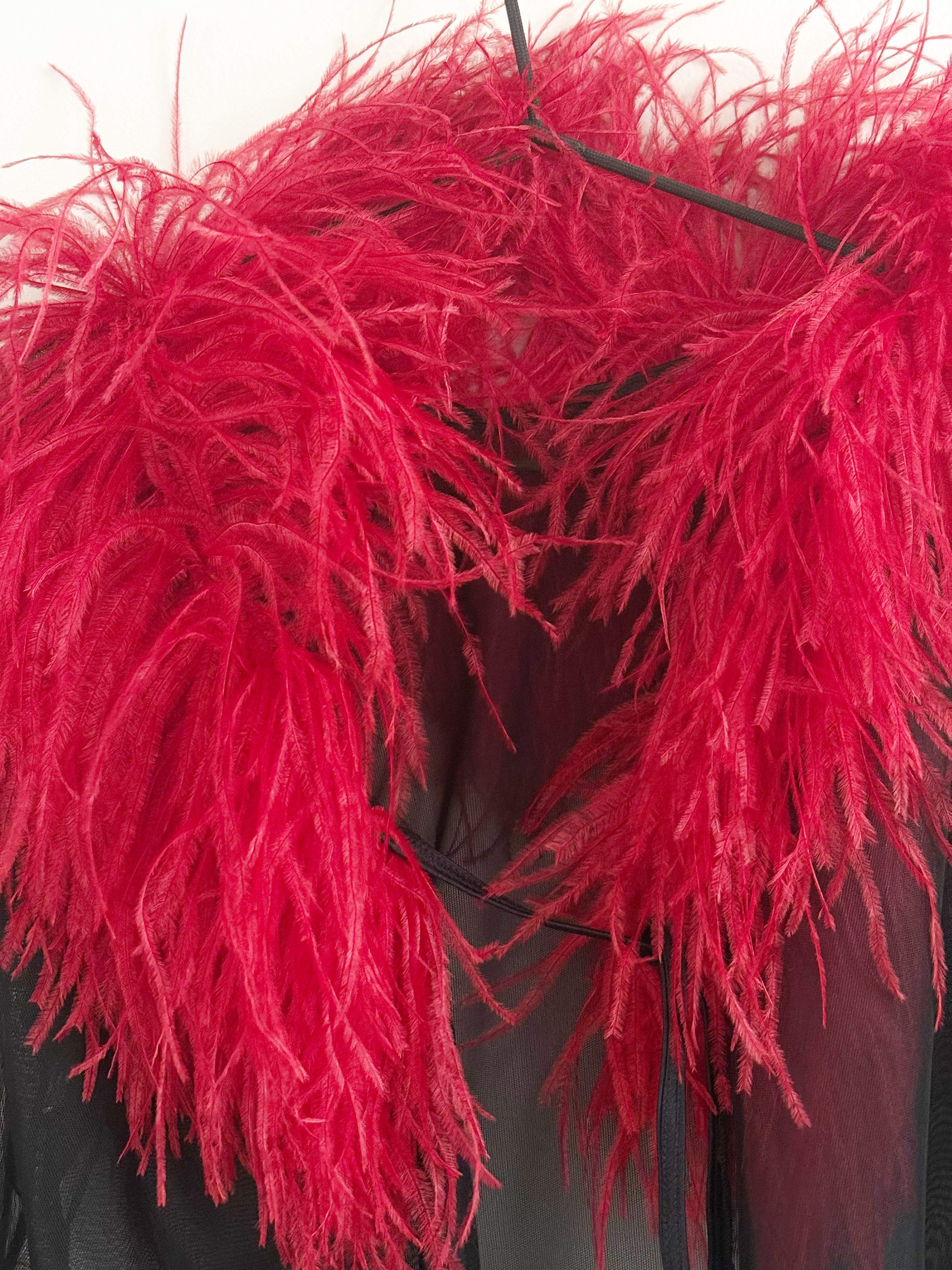 Sheer Feather-Trim Blouse