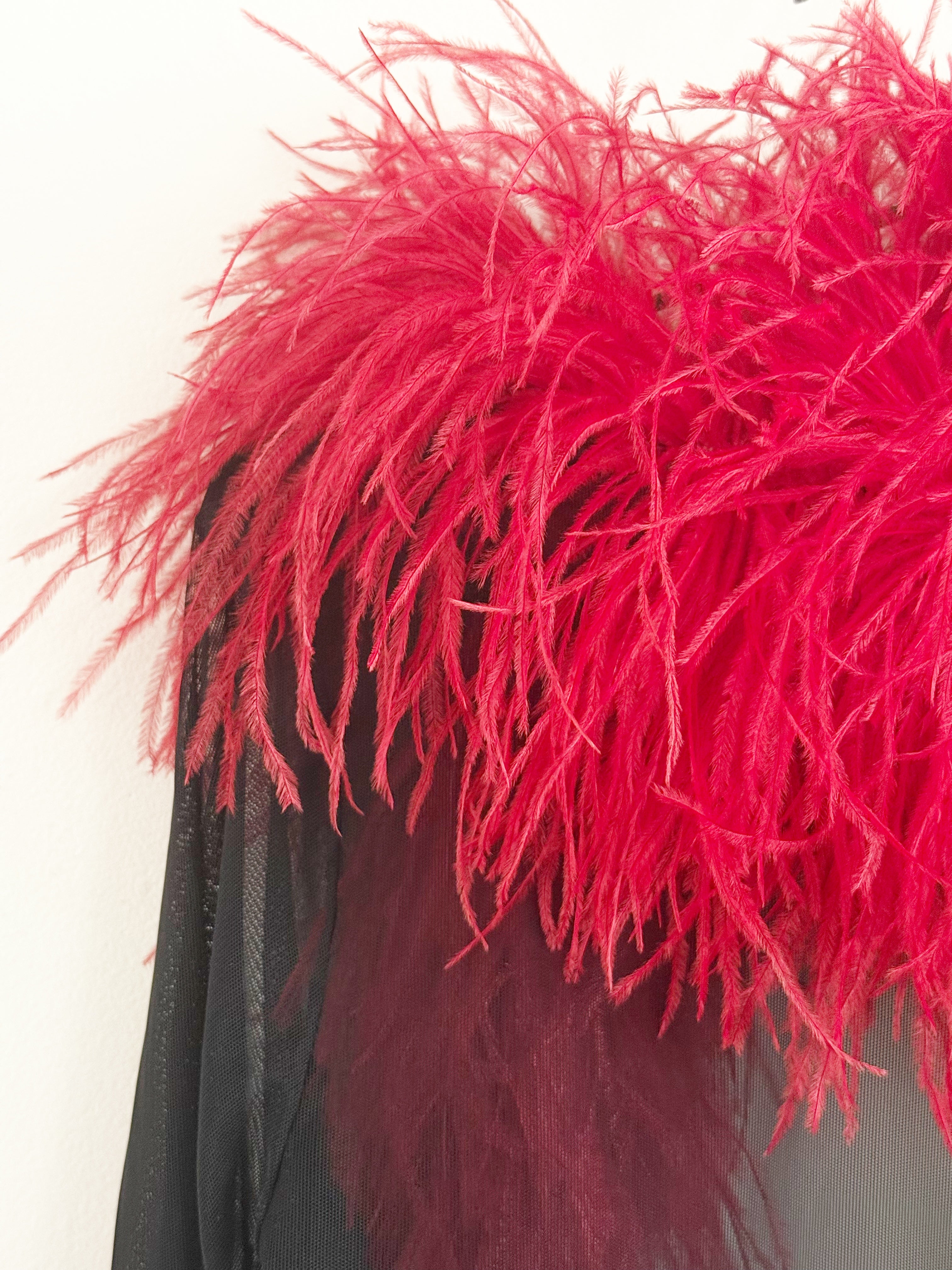 Sheer Feather-Trim Blouse