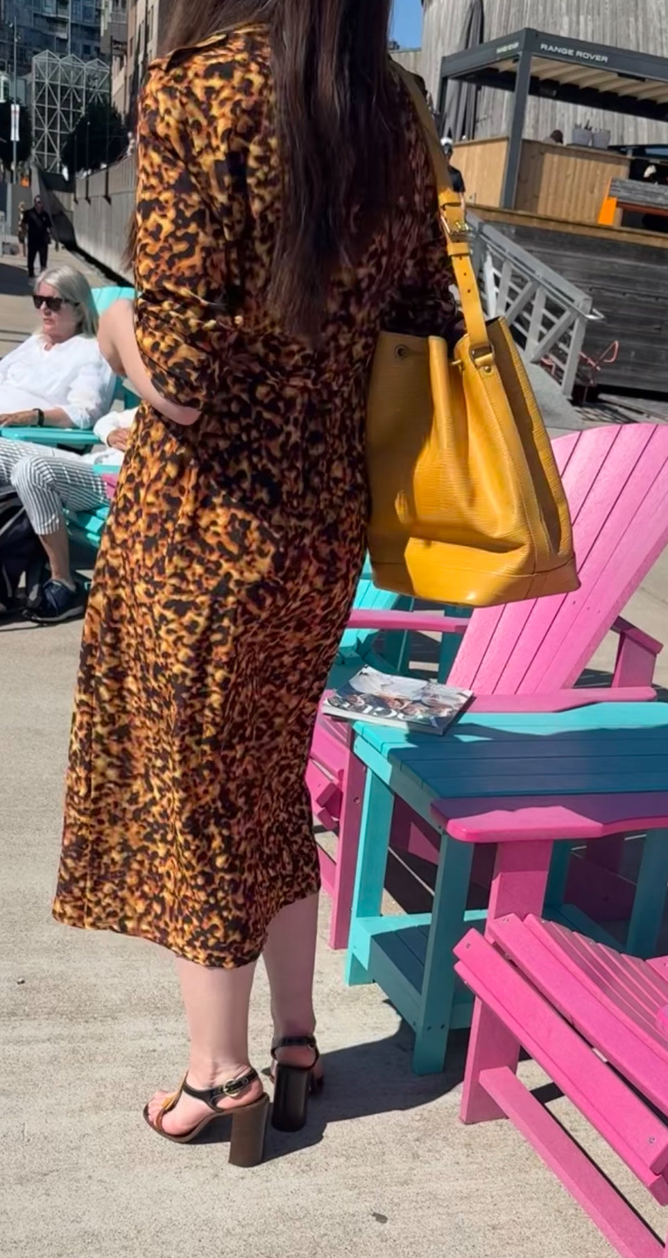 Celine Silk Dress in Leopard Print