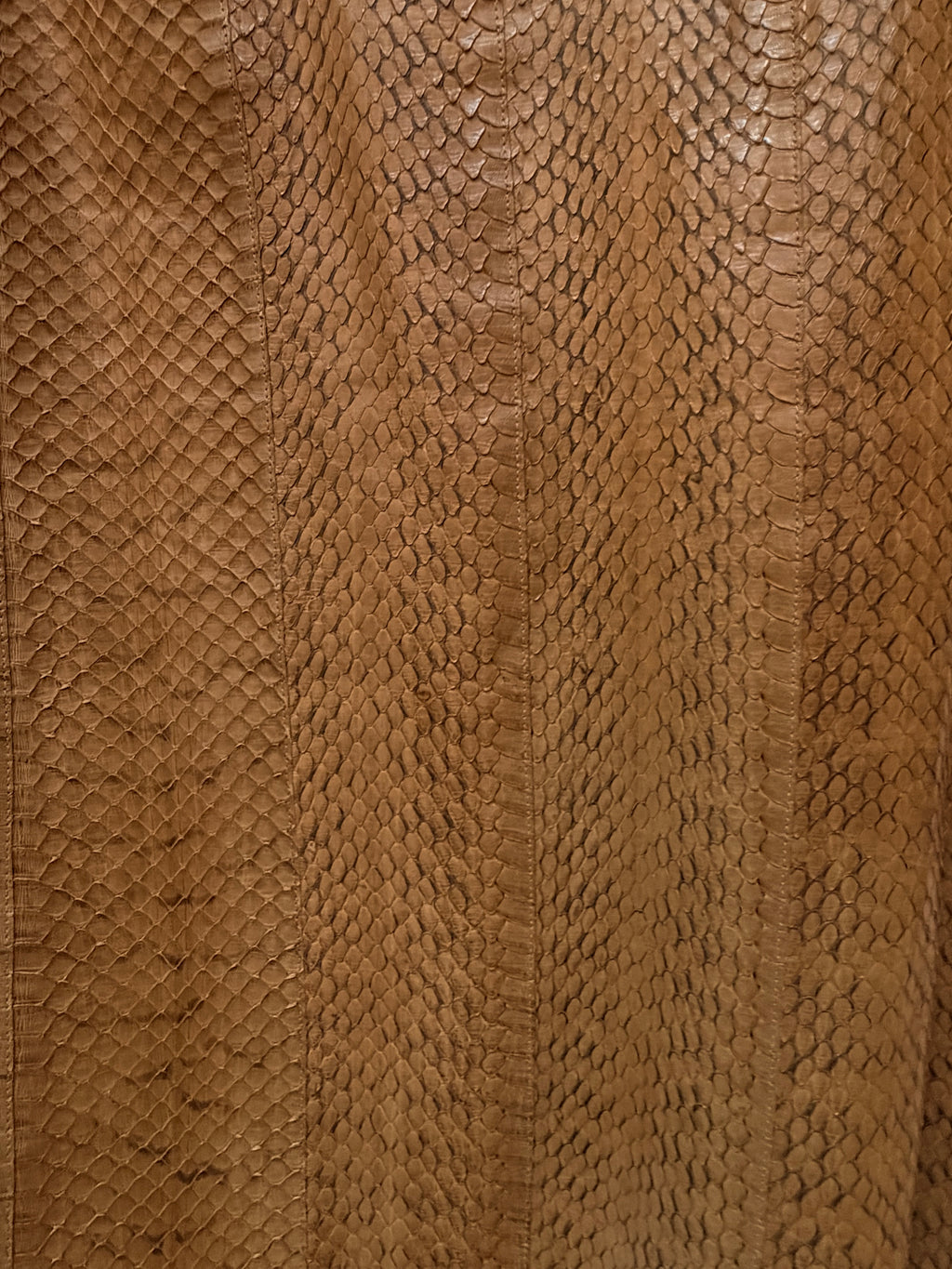Miu Miu Brown Python Skirt