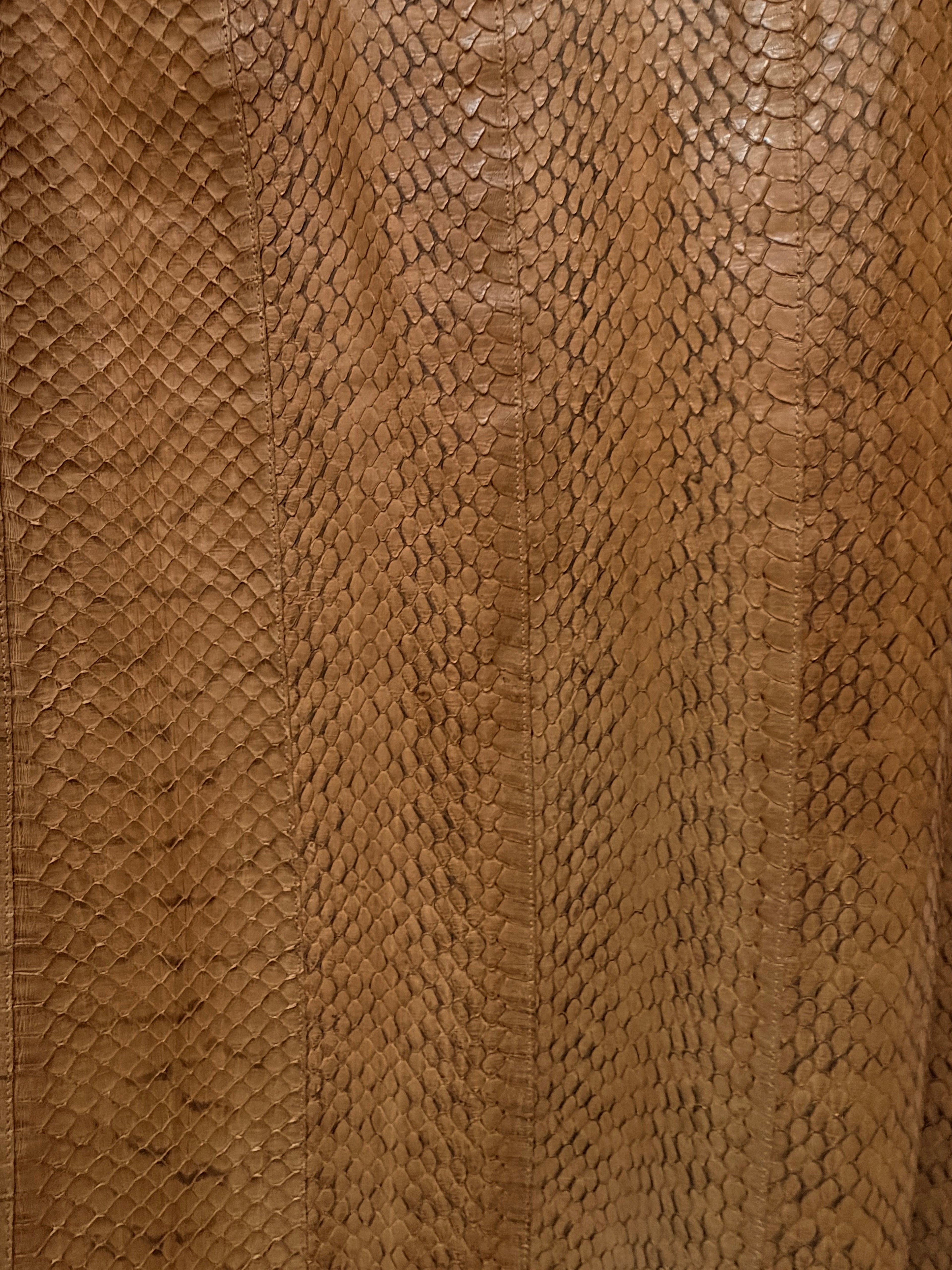 Miu Miu Brown Python Skirt